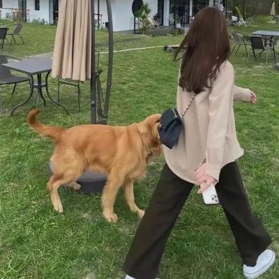 天上的风